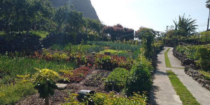 Photo placeholder for Porto Moniz pools