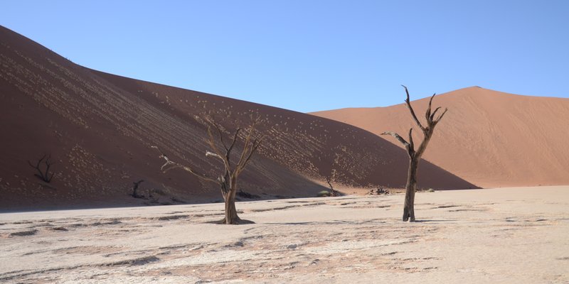 Namibia: Desert and Wildlife
