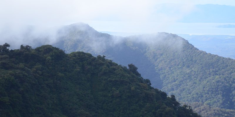 Photo placeholder for cloud forests
