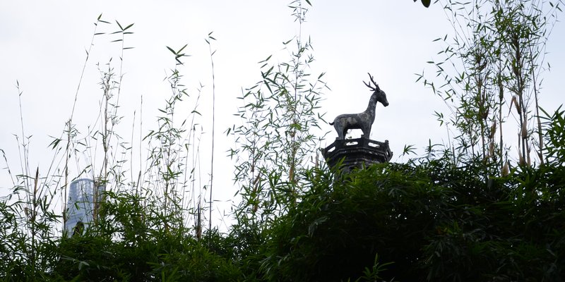 Photo placeholder for traditional hutongs
