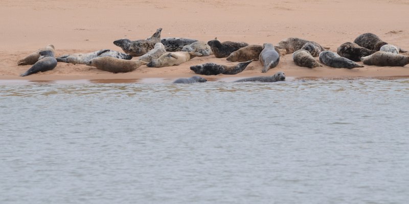 Photo placeholder for Newburgh Beach