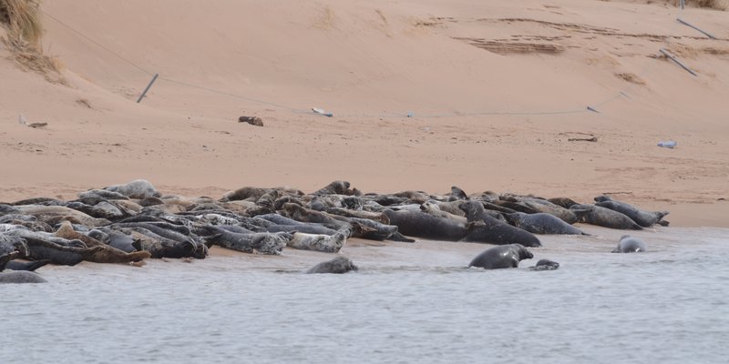 Photo placeholder for Ythan Estuary